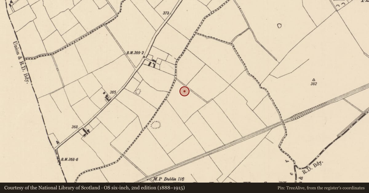 Ordnance Survey six-inch map, 2nd edition (1888–1915) covering the location of Barrow - ring-barrow, Ballyholahan West, County Tipperary South, with a pin at the register's coordinates