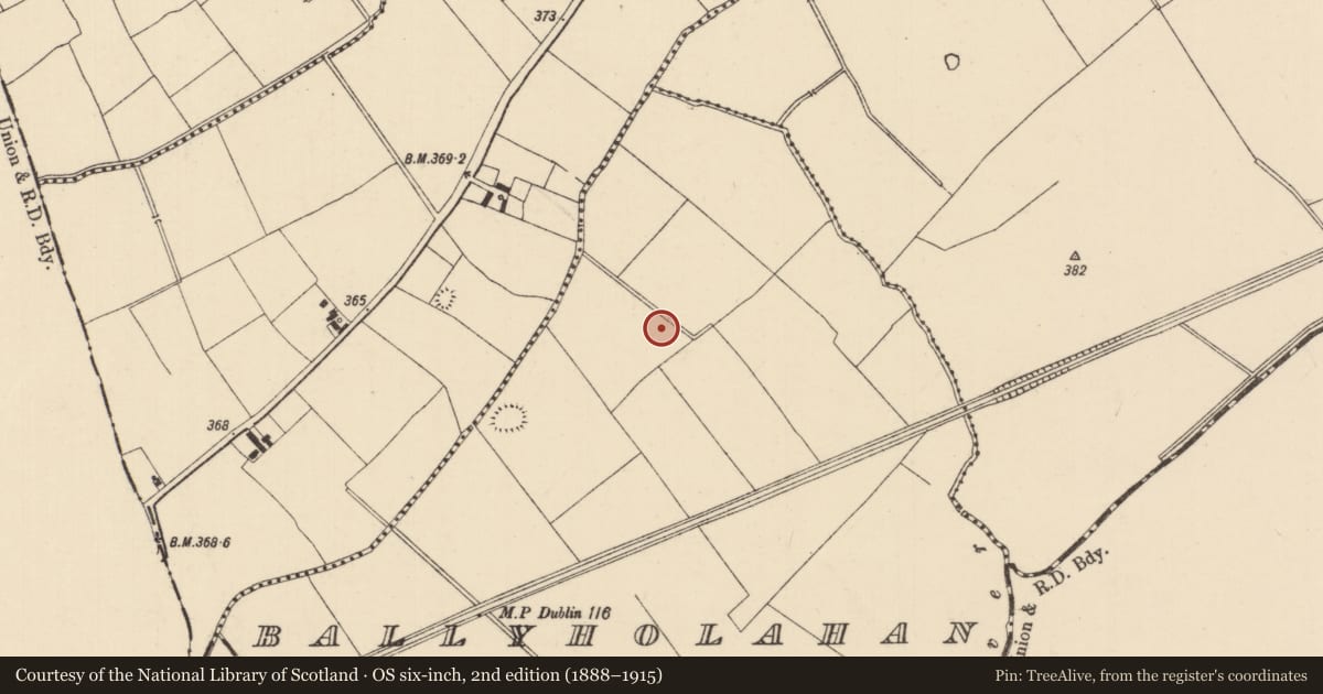 Ordnance Survey six-inch map, 2nd edition (1888–1915) covering the location of Barrow - ring-barrow, Ballyholahan West, County Tipperary South, with a pin at the register's coordinates