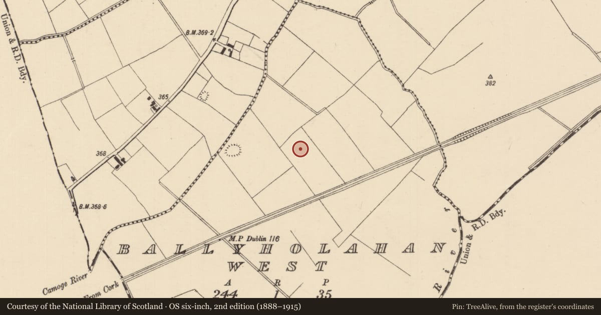 Ordnance Survey six-inch map, 2nd edition (1888–1915) covering the location of Barrow - ring-barrow, Ballyholahan West, County Tipperary South, with a pin at the register's coordinates
