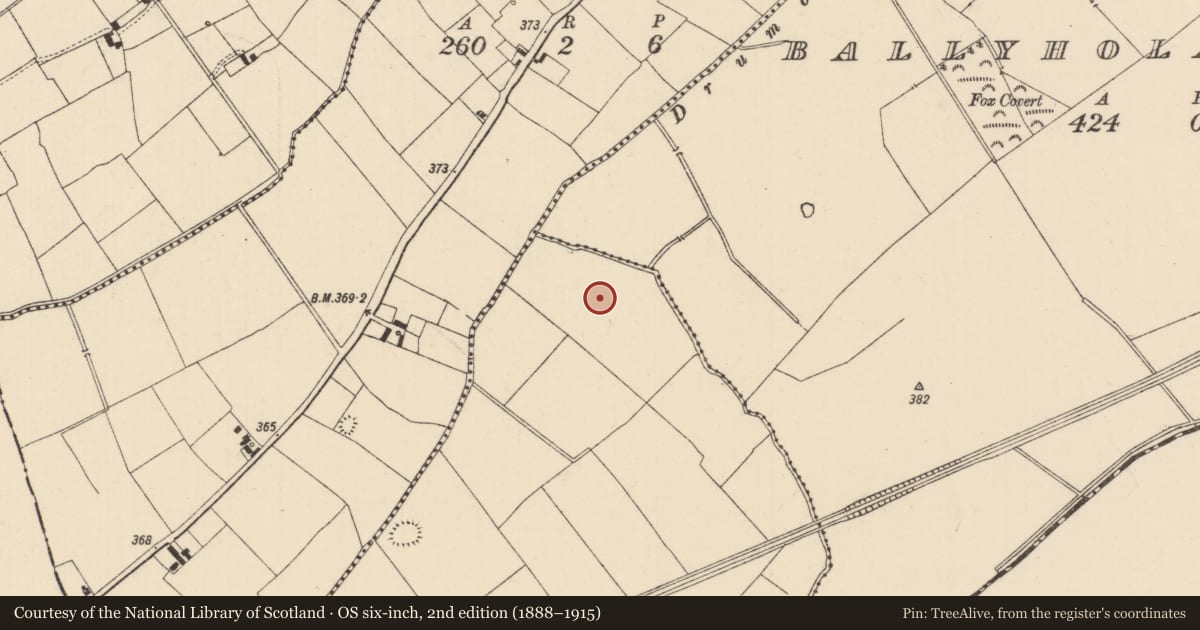 Ordnance Survey six-inch map, 2nd edition (1888–1915) covering the location of Barrow - ring-barrow, Ballyholahan West, County Tipperary South, with a pin at the register's coordinates