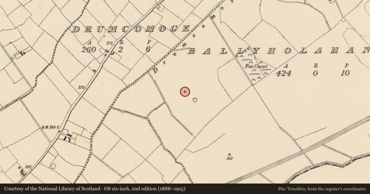 Ordnance Survey six-inch map, 2nd edition (1888–1915) covering the location of Barrow - ring-barrow, Ballyholahan East, County Tipperary South, with a pin at the register's coordinates