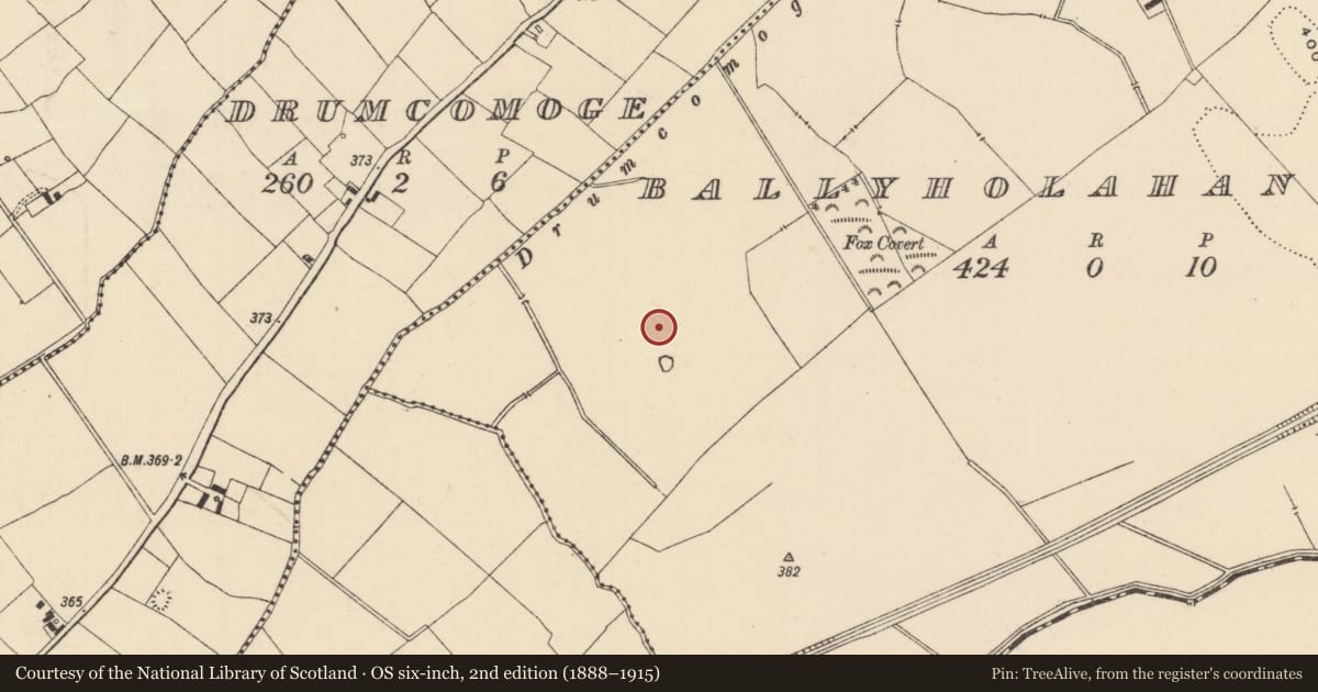 Ordnance Survey six-inch map, 2nd edition (1888–1915) covering the location of Barrow - ring-barrow, Ballyholahan East, County Tipperary South, with a pin at the register's coordinates