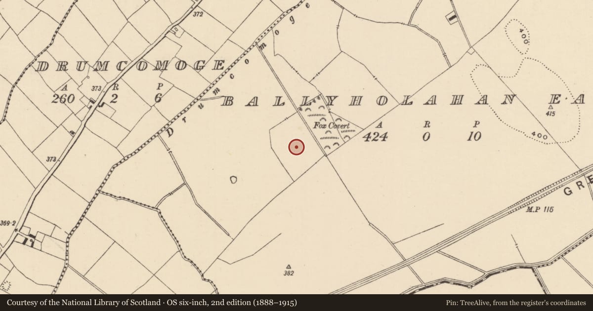 Ordnance Survey six-inch map, 2nd edition (1888–1915) covering the location of Barrow - ditch barrow, Ballyholahan East, County Tipperary South, with a pin at the register's coordinates