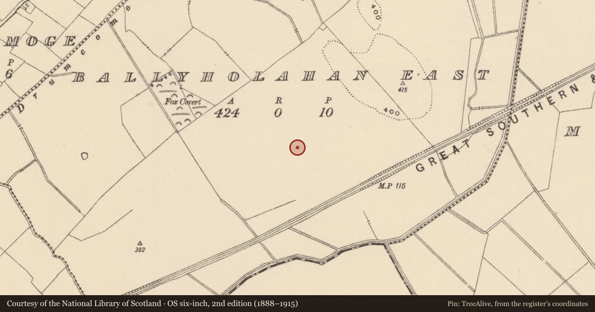 Ordnance Survey six-inch map, 2nd edition (1888–1915) covering the location of Barrow - ring-barrow, Ballyholahan East, County Tipperary South, with a pin at the register's coordinates