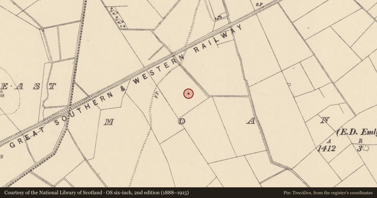 Ordnance Survey six-inch map, 2nd edition (1888–1915) covering the location of Barrow - ditch barrow, Moanmore (Emly Par.), County Tipperary South, with a pin at the register's coordinates