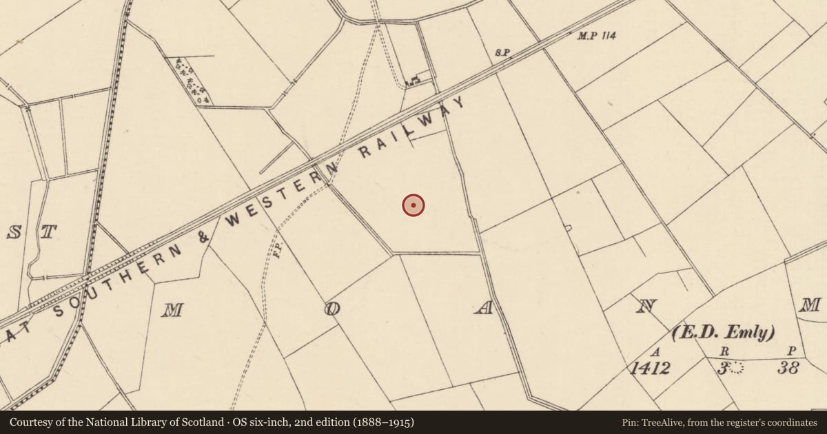 Ordnance Survey six-inch map, 2nd edition (1888–1915) covering the location of Ring-ditch, Moanmore (Emly Par.), County Tipperary South, with a pin at the register's coordinates