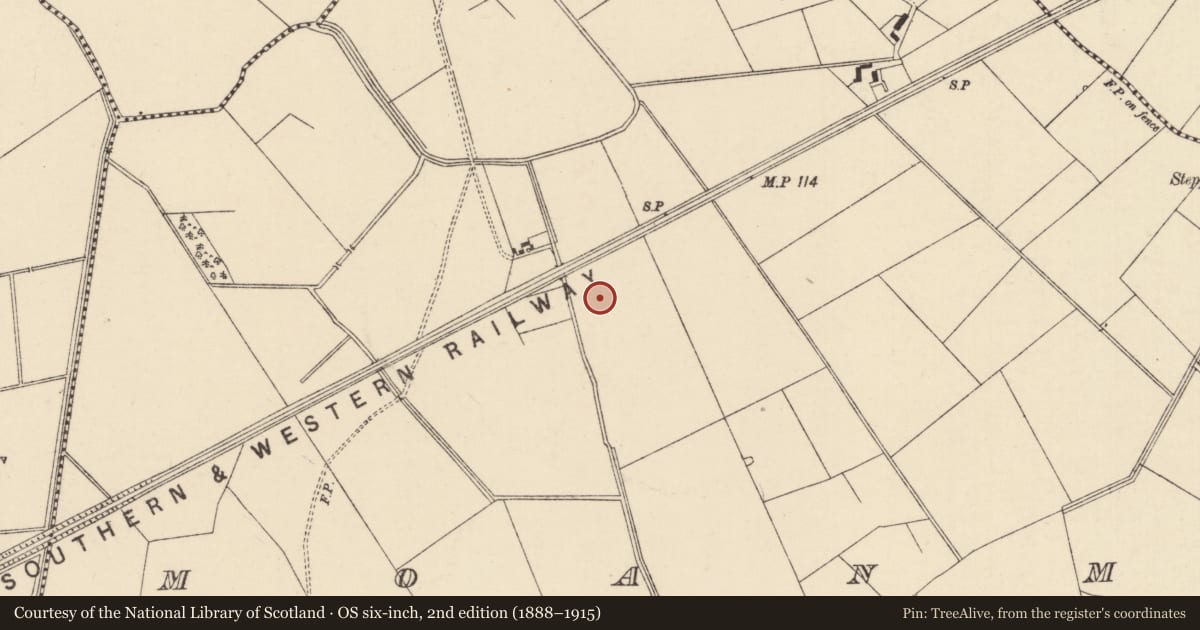 Ordnance Survey six-inch map, 2nd edition (1888–1915) covering the location of Enclosure, Moanmore (Emly Par.), County Tipperary South, with a pin at the register's coordinates