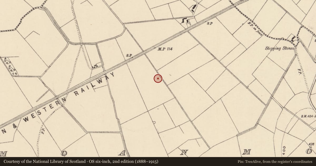 Ordnance Survey six-inch map, 2nd edition (1888–1915) covering the location of Enclosure, Moanmore (Emly Par.), County Tipperary South, with a pin at the register's coordinates