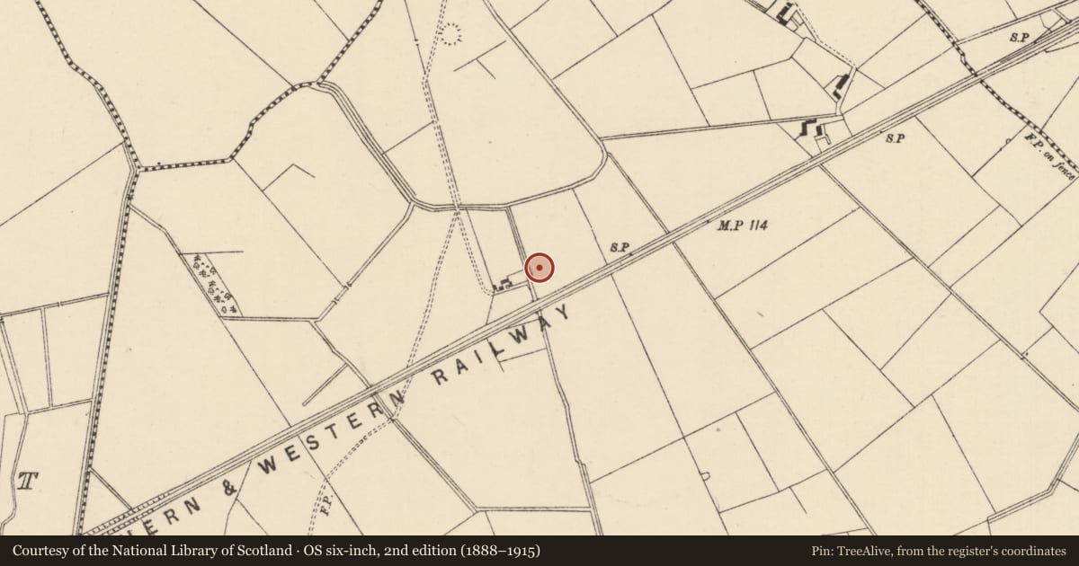 Ordnance Survey six-inch map, 2nd edition (1888–1915) covering the location of Enclosure, Moanmore (Emly Par.), County Tipperary South, with a pin at the register's coordinates