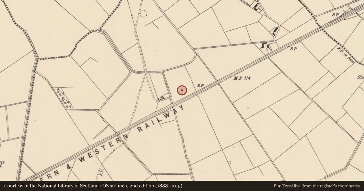 Ordnance Survey six-inch map, 2nd edition (1888–1915) covering the location of Enclosure, Moanmore (Emly Par.), County Tipperary South, with a pin at the register's coordinates