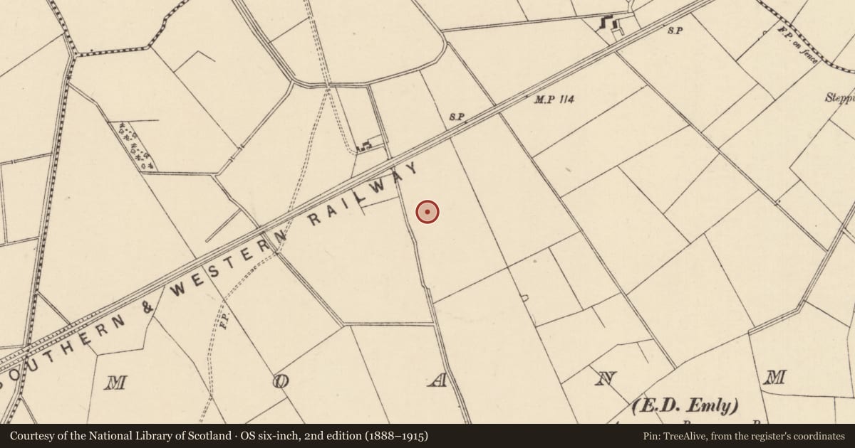 Ordnance Survey six-inch map, 2nd edition (1888–1915) covering the location of Barrow - ditch barrow, Moanmore (Emly Par.), County Tipperary South, with a pin at the register's coordinates