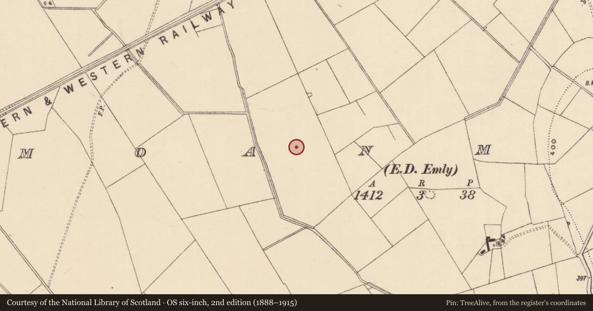 Ordnance Survey six-inch map, 2nd edition (1888–1915) covering the location of Barrow - ditch barrow, Moanmore (Emly Par.), County Tipperary South, with a pin at the register's coordinates