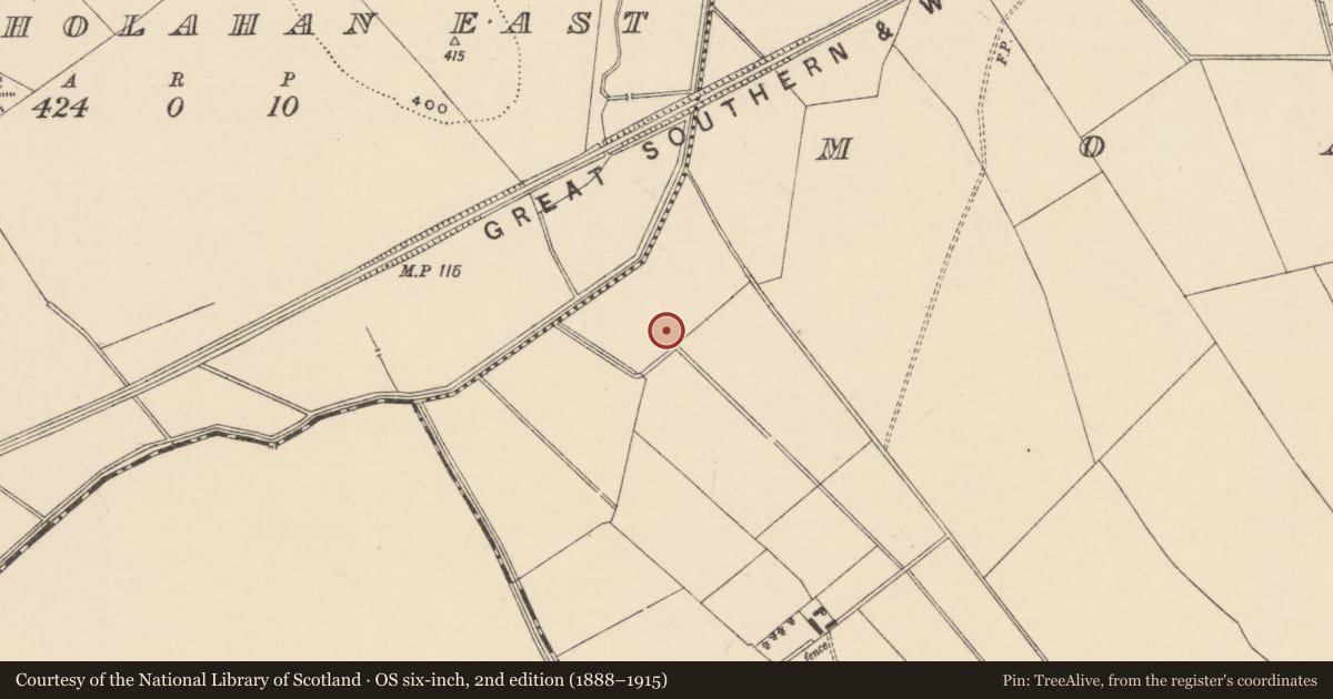 Ordnance Survey six-inch map, 2nd edition (1888–1915) covering the location of Ring-ditch, Moanmore (Emly Par.), County Tipperary South, with a pin at the register's coordinates