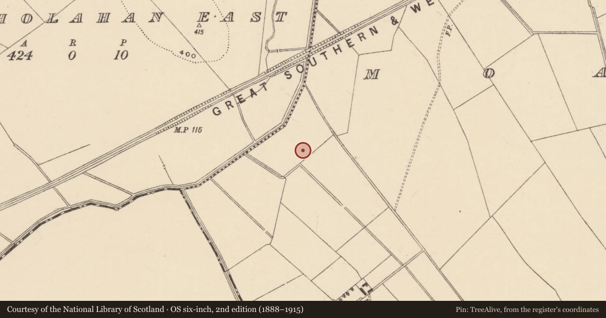 Ordnance Survey six-inch map, 2nd edition (1888–1915) covering the location of Ring-ditch, Moanmore (Emly Par.), County Tipperary South, with a pin at the register's coordinates