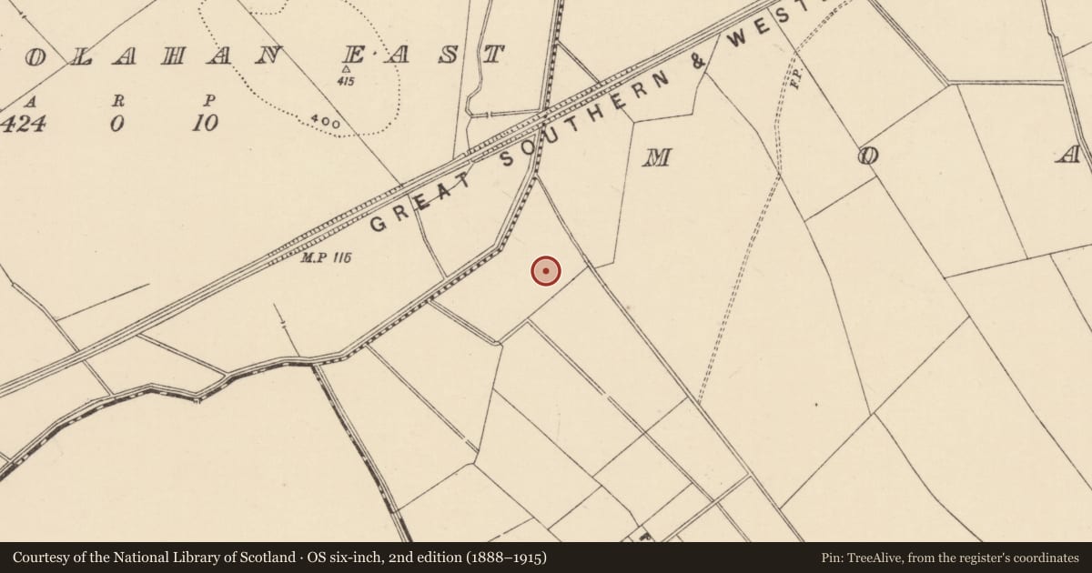Ordnance Survey six-inch map, 2nd edition (1888–1915) covering the location of Ring-ditch, Moanmore (Emly Par.), County Tipperary South, with a pin at the register's coordinates