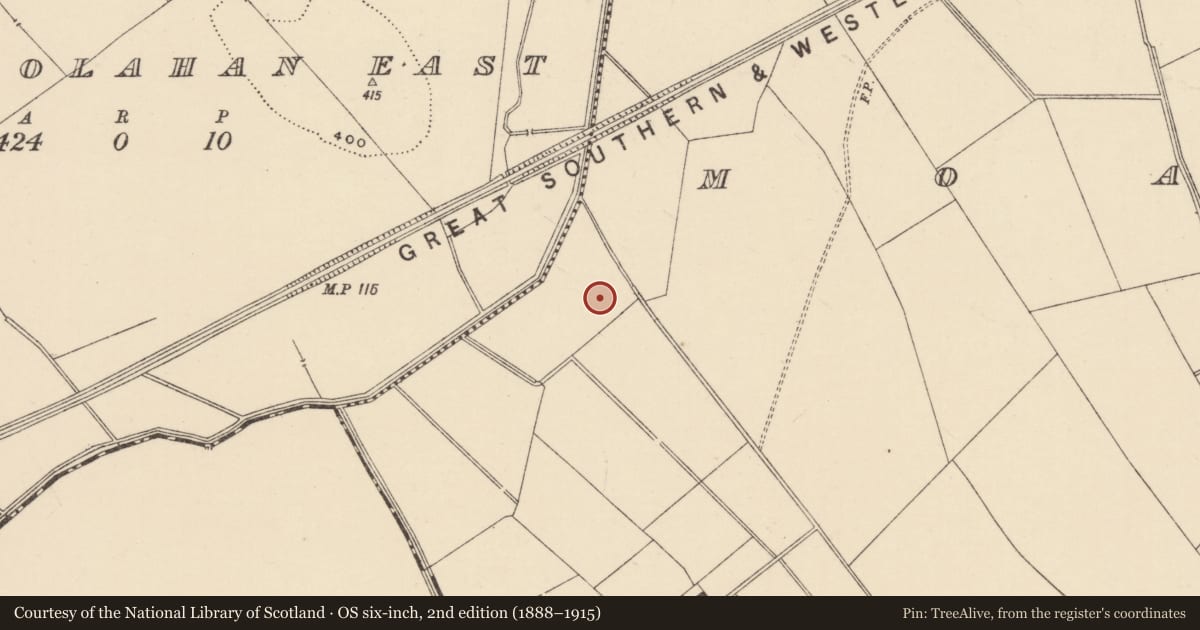 Ordnance Survey six-inch map, 2nd edition (1888–1915) covering the location of Ring-ditch, Moanmore (Emly Par.), County Tipperary South, with a pin at the register's coordinates