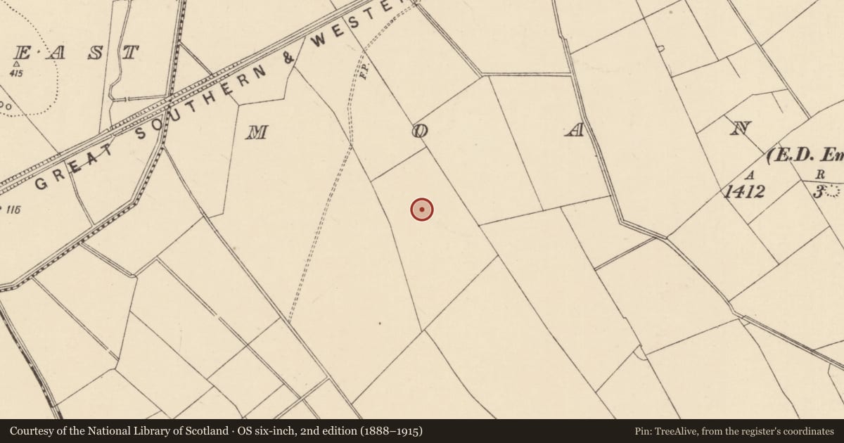 Ordnance Survey six-inch map, 2nd edition (1888–1915) covering the location of Enclosure, Moanmore (Emly Par.), County Tipperary South, with a pin at the register's coordinates