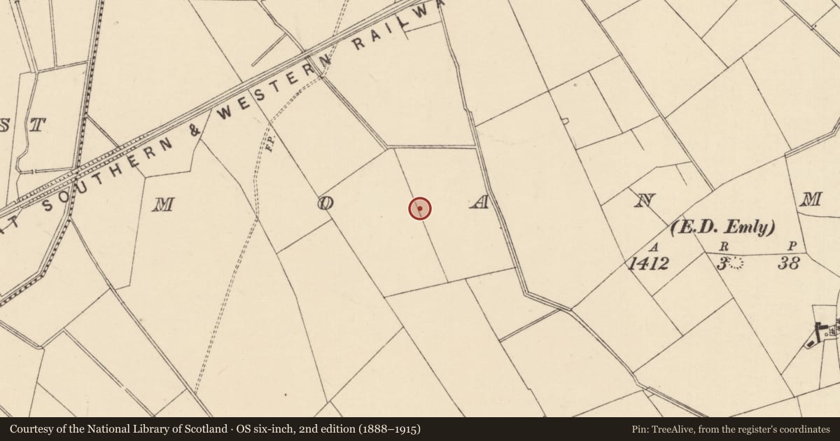 Ordnance Survey six-inch map, 2nd edition (1888–1915) covering the location of Ring-ditch, Moanmore (Emly Par.), County Tipperary South, with a pin at the register's coordinates