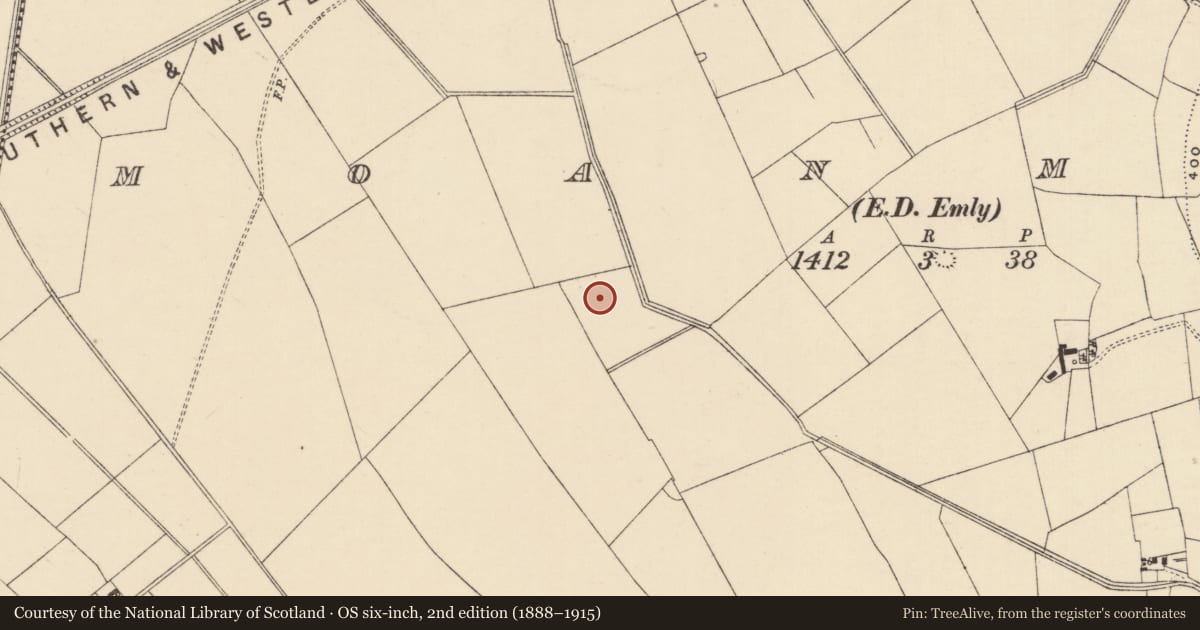 Ordnance Survey six-inch map, 2nd edition (1888–1915) covering the location of Enclosure, Moanmore (Emly Par.), County Tipperary South, with a pin at the register's coordinates