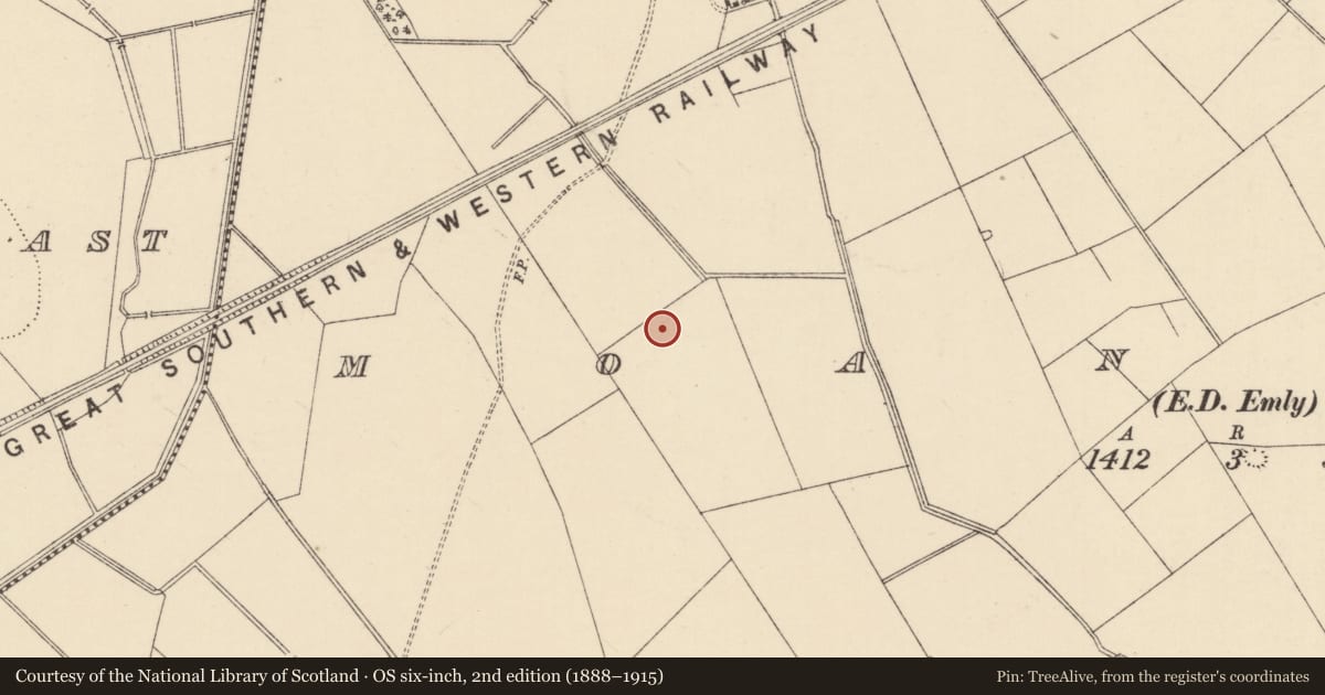 Ordnance Survey six-inch map, 2nd edition (1888–1915) covering the location of Ring-ditch, Moanmore (Emly Par.), County Tipperary South, with a pin at the register's coordinates