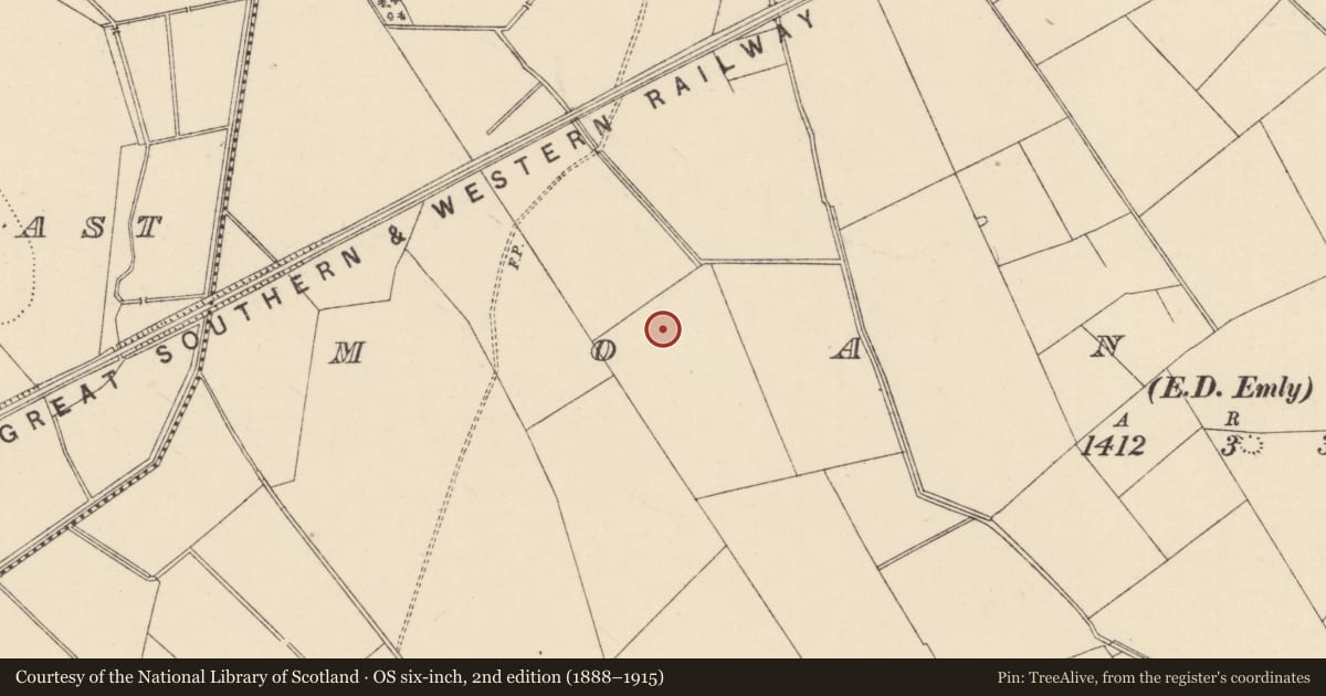 Ordnance Survey six-inch map, 2nd edition (1888–1915) covering the location of Ring-ditch, Moanmore (Emly Par.), County Tipperary South, with a pin at the register's coordinates