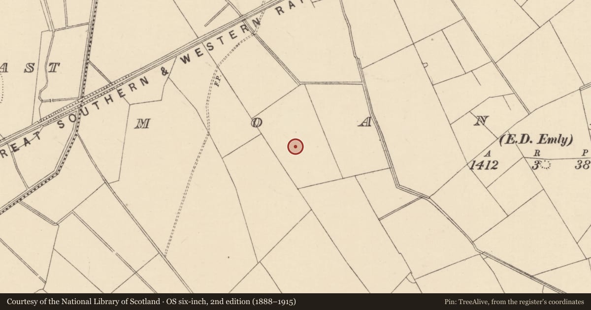Ordnance Survey six-inch map, 2nd edition (1888–1915) covering the location of Ring-ditch, Moanmore (Emly Par.), County Tipperary South, with a pin at the register's coordinates