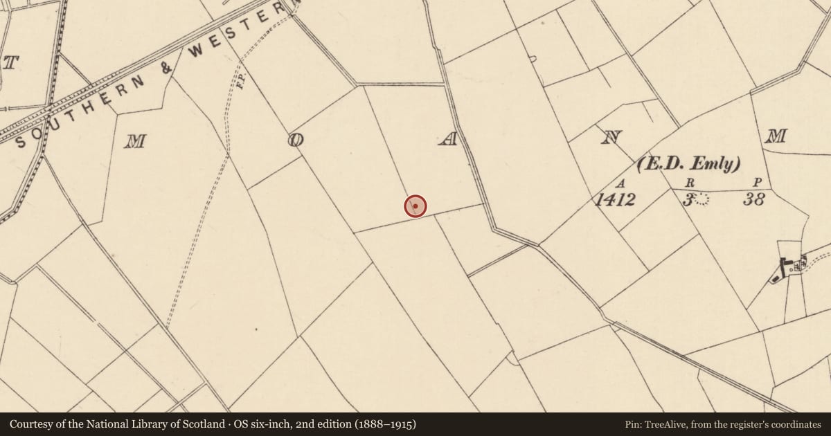 Ordnance Survey six-inch map, 2nd edition (1888–1915) covering the location of Ring-ditch, Moanmore (Emly Par.), County Tipperary South, with a pin at the register's coordinates