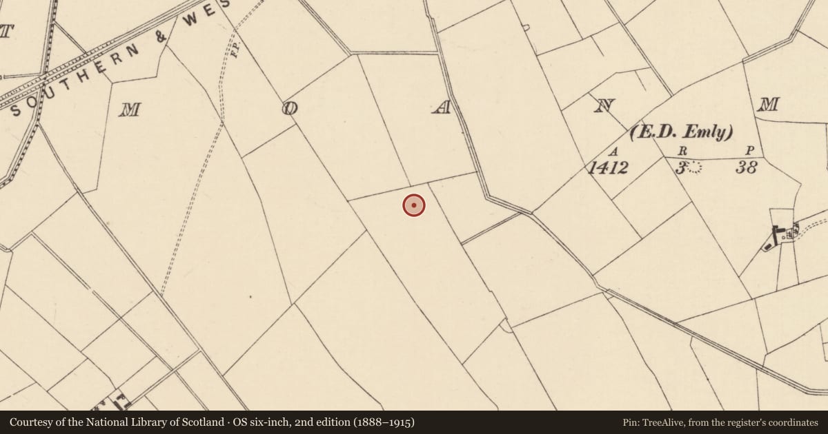 Ordnance Survey six-inch map, 2nd edition (1888–1915) covering the location of Enclosure, Moanmore (Emly Par.), County Tipperary South, with a pin at the register's coordinates