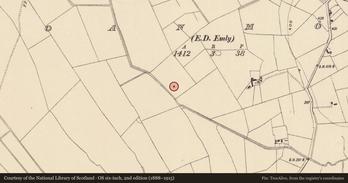 Ordnance Survey six-inch map, 2nd edition (1888–1915) covering the location of Ring-ditch, Moanmore (Emly Par.), County Tipperary South, with a pin at the register's coordinates