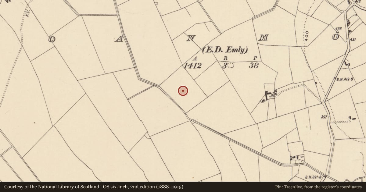 Ordnance Survey six-inch map, 2nd edition (1888–1915) covering the location of Ring-ditch, Moanmore (Emly Par.), County Tipperary South, with a pin at the register's coordinates