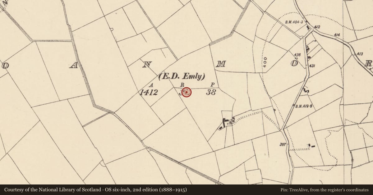 Ordnance Survey six-inch map, 2nd edition (1888–1915) covering the location of Barrow - bowl-barrow, Moanmore (Emly Par.), County Tipperary South, with a pin at the register's coordinates