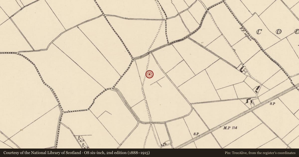 Ordnance Survey six-inch map, 2nd edition (1888–1915) covering the location of Enclosure, Moanmore (Emly Par.), County Tipperary South, with a pin at the register's coordinates