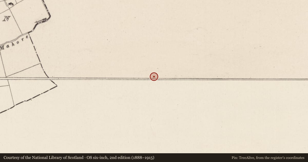 Ordnance Survey six-inch map, 2nd edition (1888–1915) covering the location of Field system, Ballyhone, County Tipperary South, with a pin at the register's coordinates