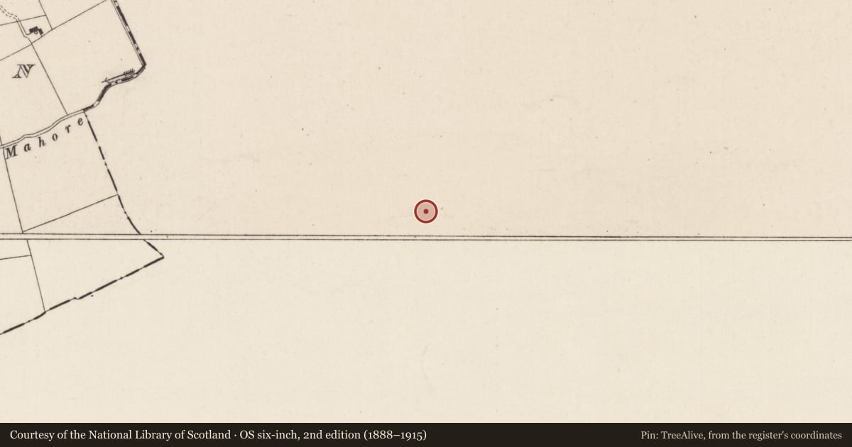 Ordnance Survey six-inch map, 2nd edition (1888–1915) covering the location of Moated site, Ballyhone, County Tipperary South, with a pin at the register's coordinates