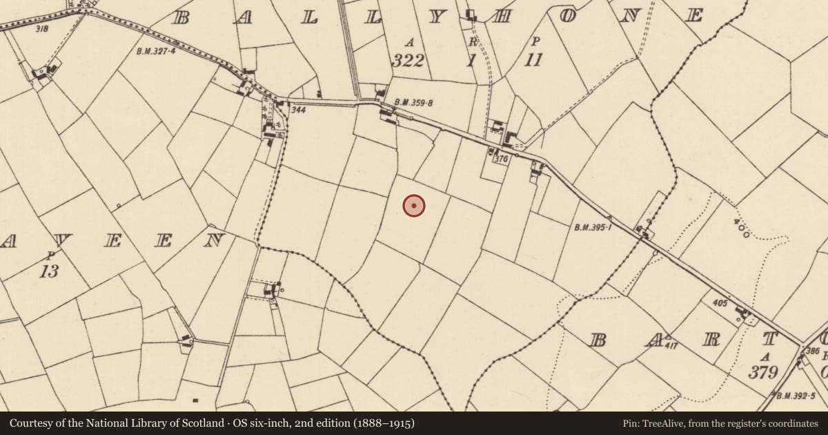 Ordnance Survey six-inch map, 2nd edition (1888–1915) covering the location of Barrow - unclassified, Ballyhone, County Tipperary South, with a pin at the register's coordinates