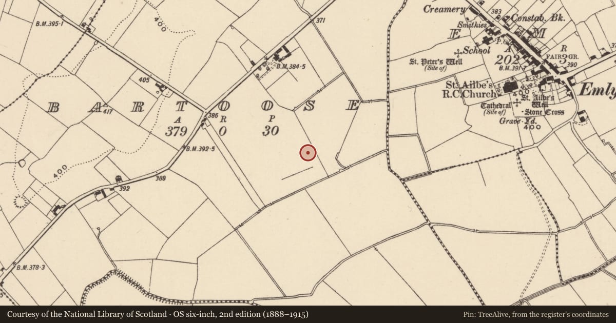 Ordnance Survey six-inch map, 2nd edition (1888–1915) covering the location of Linear earthwork, Bartoose, County Tipperary South, with a pin at the register's coordinates