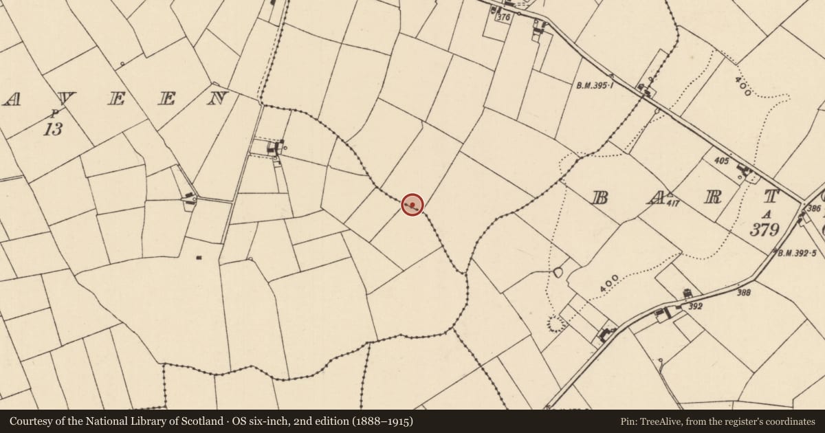 Ordnance Survey six-inch map, 2nd edition (1888–1915) covering the location of Enclosure, Ballyhone, County Tipperary South, with a pin at the register's coordinates