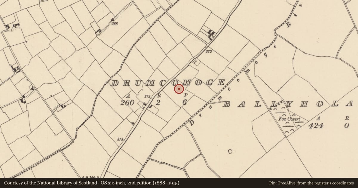 Ordnance Survey six-inch map, 2nd edition (1888–1915) covering the location of Moated site, Drumcomoge, County Tipperary South, with a pin at the register's coordinates