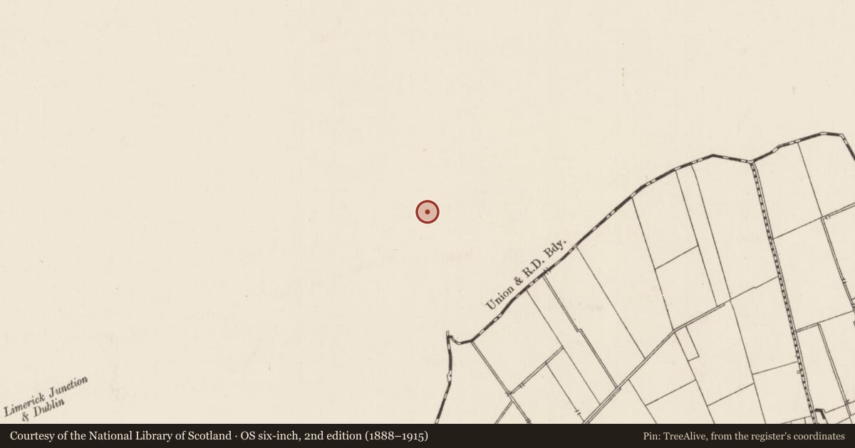 Ordnance Survey six-inch map, 2nd edition (1888–1915) covering the location of Field system, Ballyholahan East, County Tipperary South, with a pin at the register's coordinates
