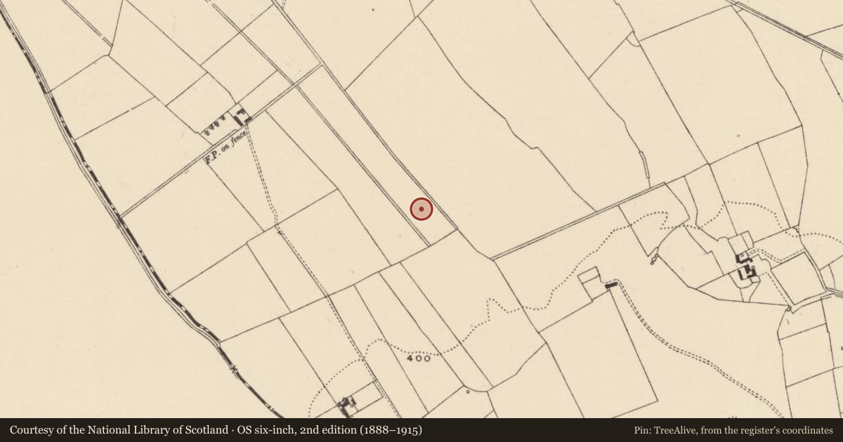 Ordnance Survey six-inch map, 2nd edition (1888–1915) covering the location of Barrow - ditch barrow, Moanmore (Emly Par.), County Tipperary South, with a pin at the register's coordinates