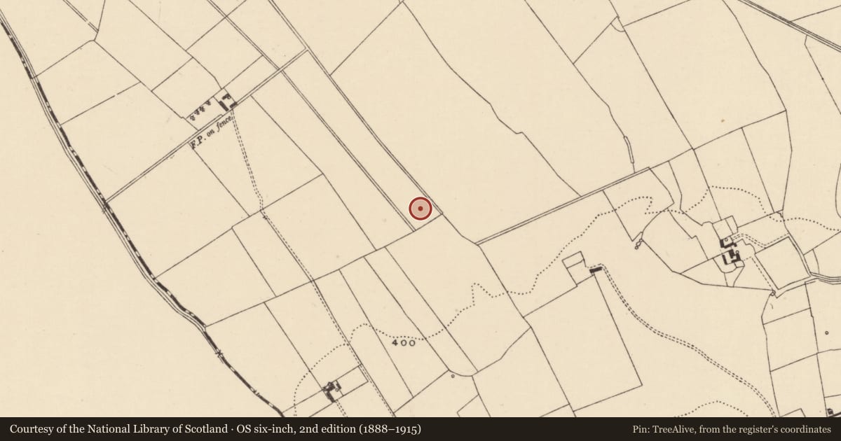 Ordnance Survey six-inch map, 2nd edition (1888–1915) covering the location of Barrow - ditch barrow, Moanmore (Emly Par.), County Tipperary South, with a pin at the register's coordinates