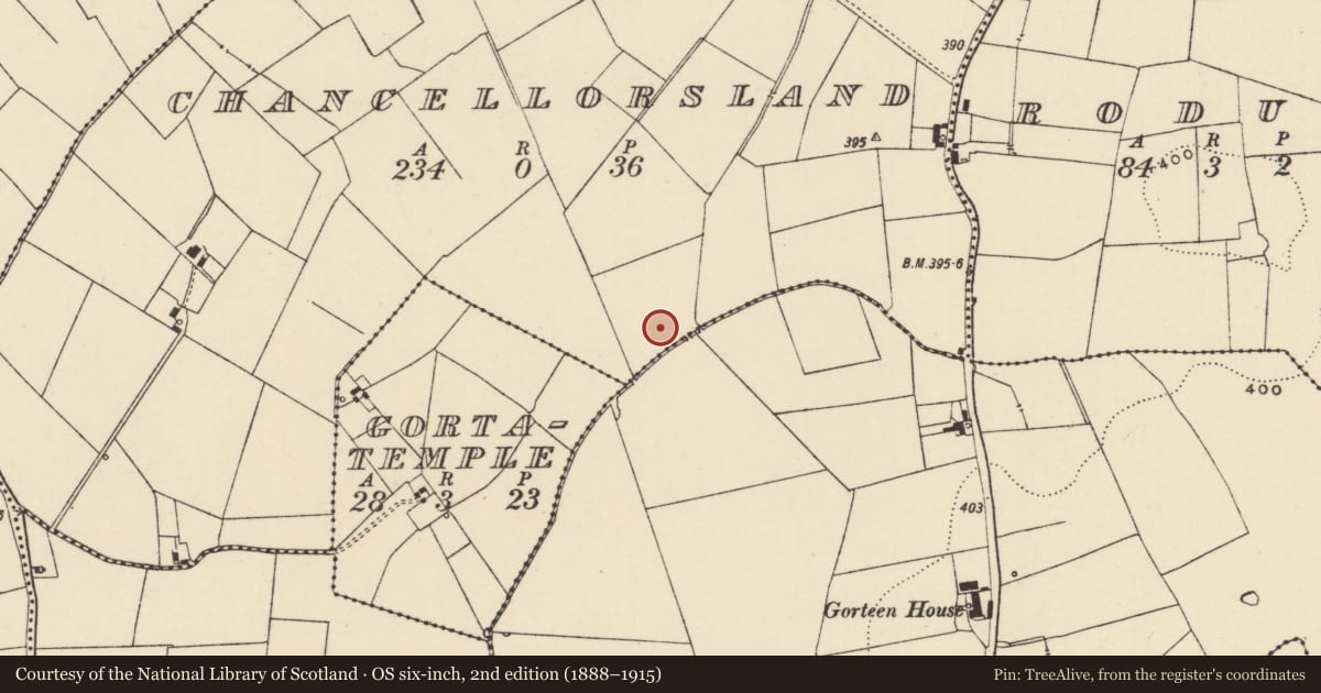 Ordnance Survey six-inch map, 2nd edition (1888–1915) covering the location of Enclosure, Chancellorsland, County Tipperary South, with a pin at the register's coordinates
