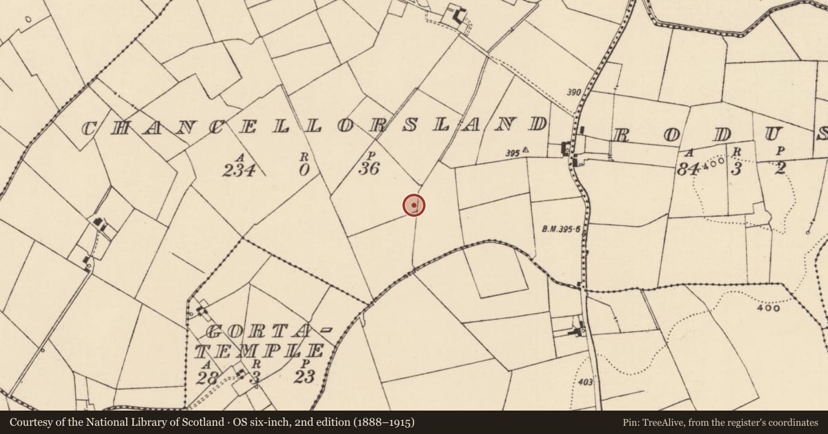 Ordnance Survey six-inch map, 2nd edition (1888–1915) covering the location of Enclosure, Chancellorsland, County Tipperary South, with a pin at the register's coordinates