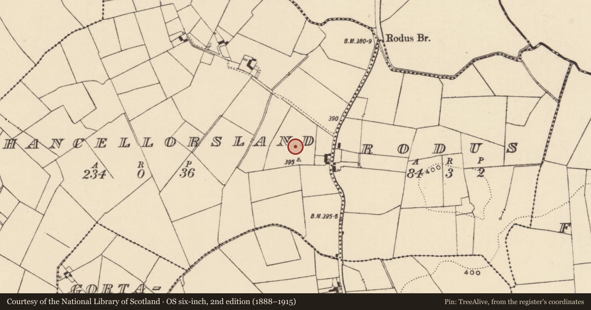 Ordnance Survey six-inch map, 2nd edition (1888–1915) covering the location of Barrow - unclassified, Chancellorsland, County Tipperary South, with a pin at the register's coordinates