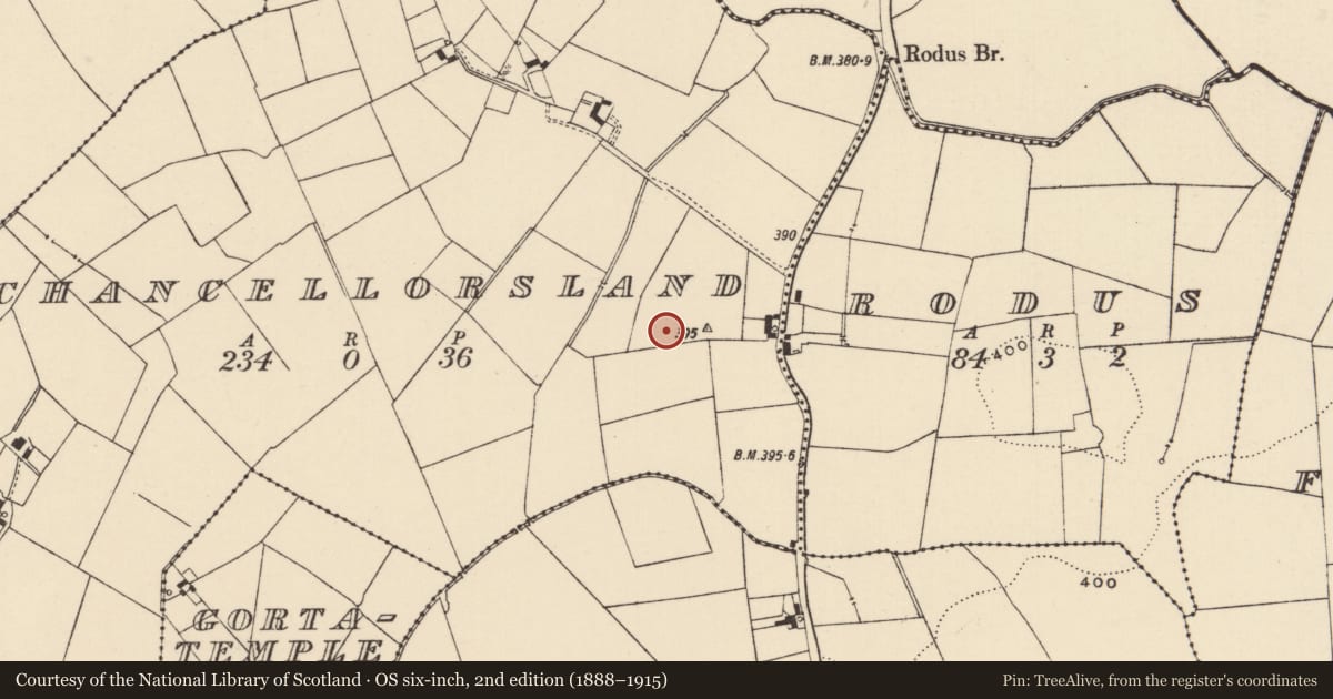 Ordnance Survey six-inch map, 2nd edition (1888–1915) covering the location of Enclosure, Chancellorsland, County Tipperary South, with a pin at the register's coordinates