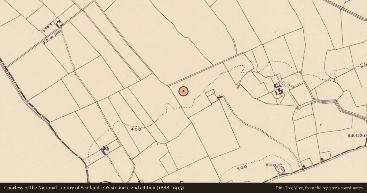 Ordnance Survey six-inch map, 2nd edition (1888–1915) covering the location of Barrow - ditch barrow, Moanmore (Emly Par.), County Tipperary South, with a pin at the register's coordinates