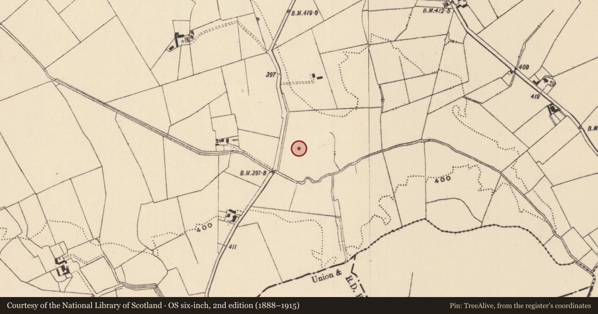 Ordnance Survey six-inch map, 2nd edition (1888–1915) covering the location of Barrow - unclassified, Moanmore (Emly Par.), County Tipperary South, with a pin at the register's coordinates