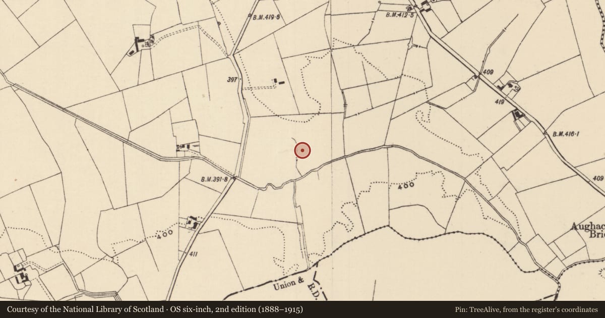 Ordnance Survey six-inch map, 2nd edition (1888–1915) covering the location of Barrow - ring-barrow, Moanmore (Emly Par.), County Tipperary South, with a pin at the register's coordinates