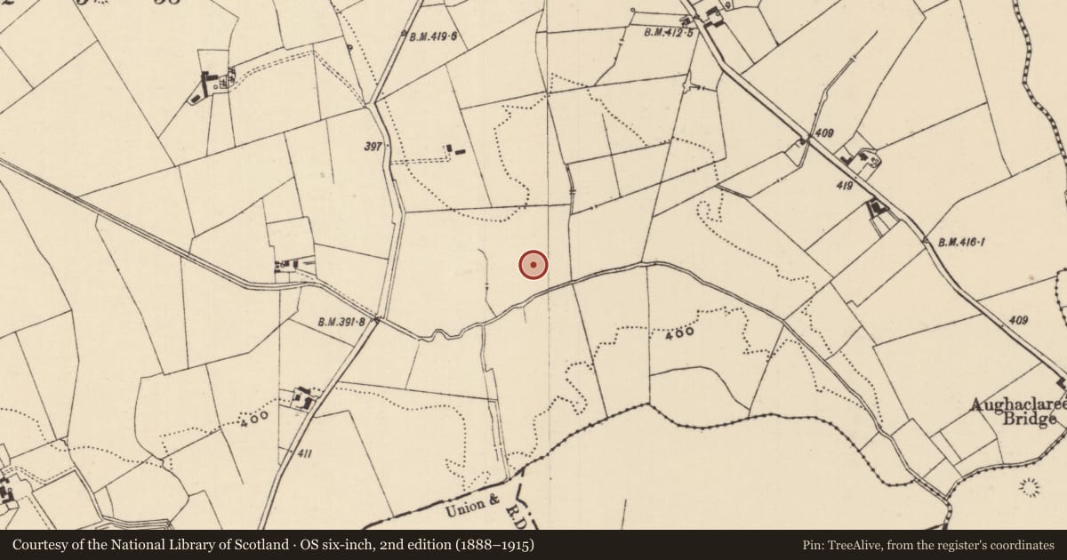 Ordnance Survey six-inch map, 2nd edition (1888–1915) covering the location of Barrow - ring-barrow, Moanmore (Emly Par.), County Tipperary South, with a pin at the register's coordinates