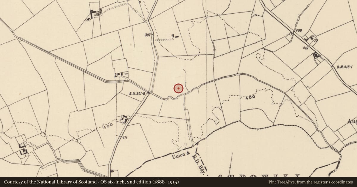Ordnance Survey six-inch map, 2nd edition (1888–1915) covering the location of Barrow - ring-barrow, Moanmore (Emly Par.), County Tipperary South, with a pin at the register's coordinates